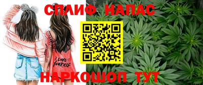 винт Партизанск