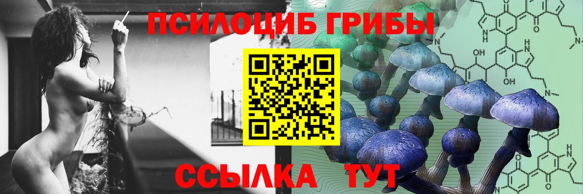 Галлюциногенные грибы Cubensis  купить наркотики сайты  Обнинск  Галлюциногенные грибы Psilocybine cubensis  Вход с VPN 
